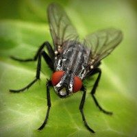 /album/teacher-essay/photolia-a01-jpg/