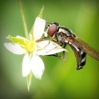 /album/teacher-essay/photolia-a02-jpg/