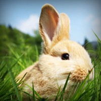 /album/teacher-essay/photolia-a03-jpg/