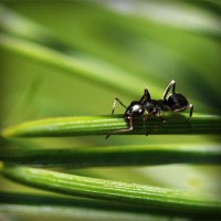 /album/teacher-essay/photolia-a05-jpg/