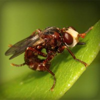 /album/teacher-essay/photolia-a06-jpg/