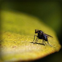 /album/teacher-essay/photolia-a07-jpg/