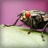 /album/teacher-essay/photolia-a08-jpg/